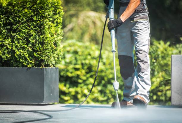 Best Roof Washing  in Beeville, TX